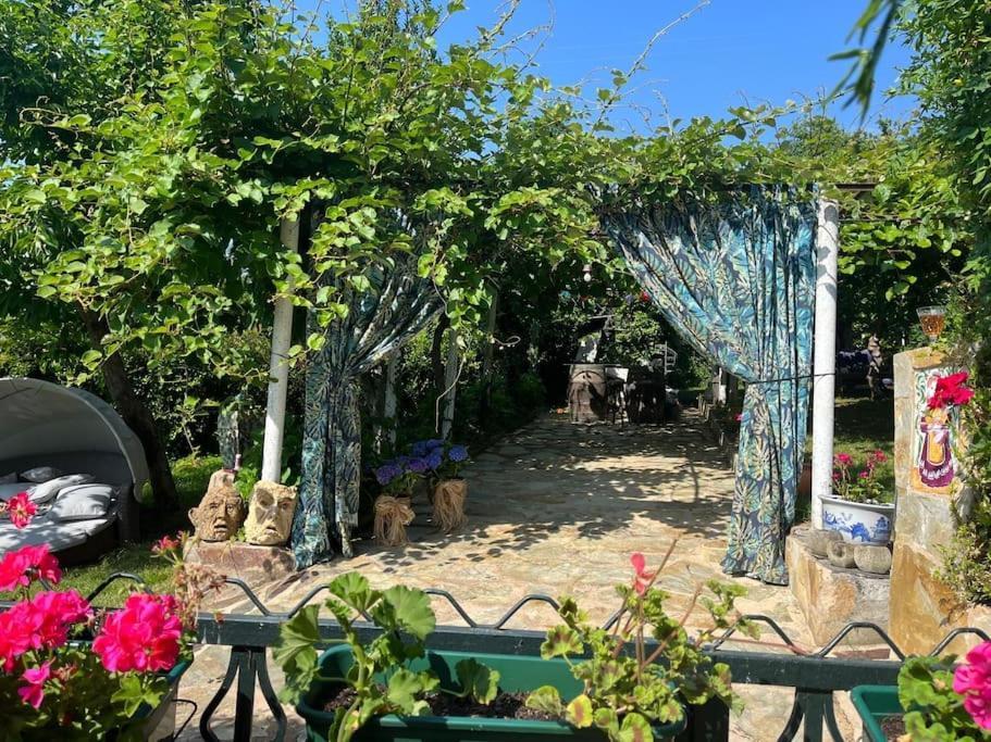 Casa A Boga Ribeira Sacra Villa Abeleda ภายนอก รูปภาพ